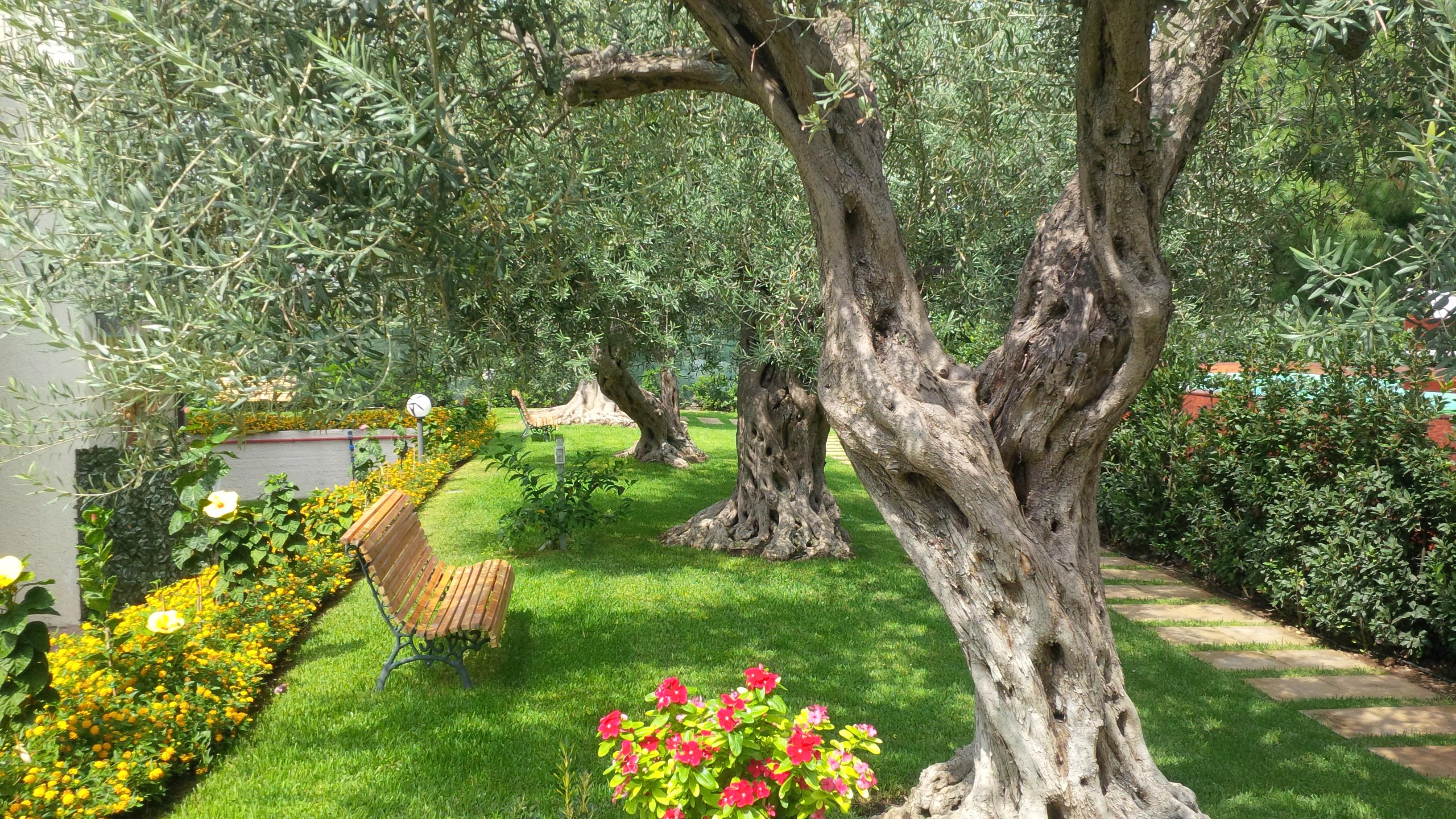 Villa Collina Giardini-Naxos Extérieur photo